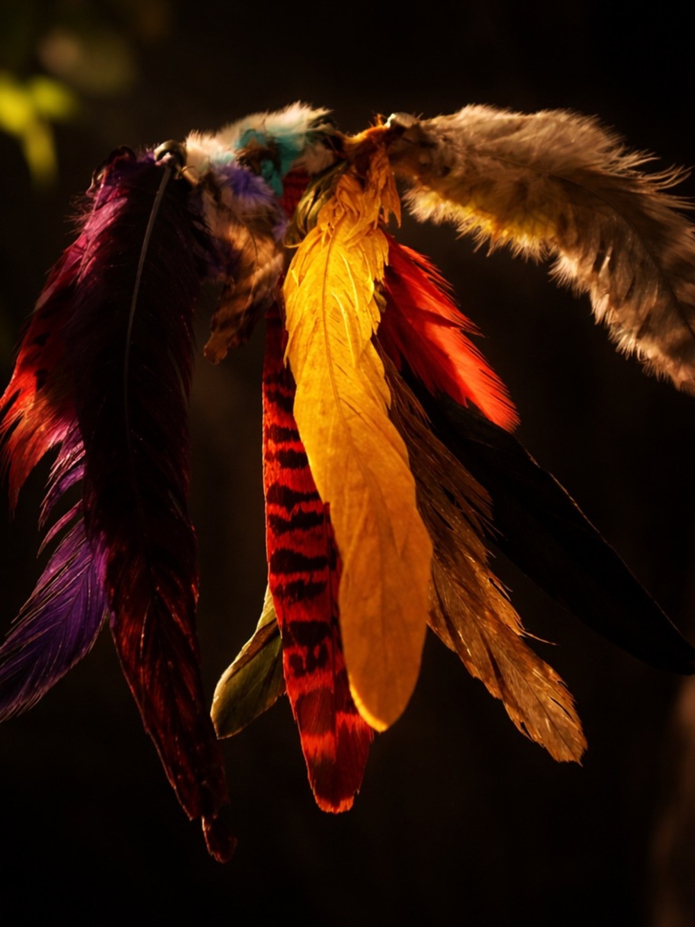 Colorful Feather - - Mixed Feather Dangles hair extensions NEW! 3  packs $20